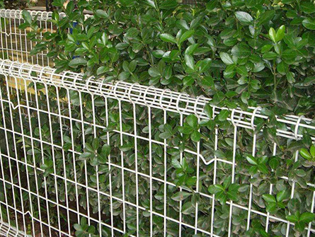 長春雙圈圍欄案例